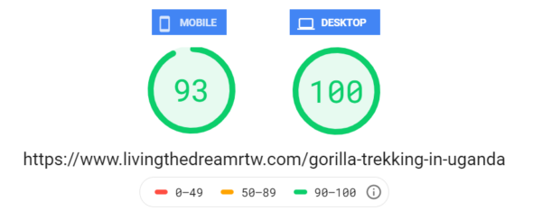 Page Speed Insights Example