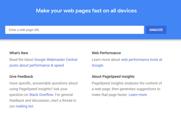 PageSpeed Insights Homepage