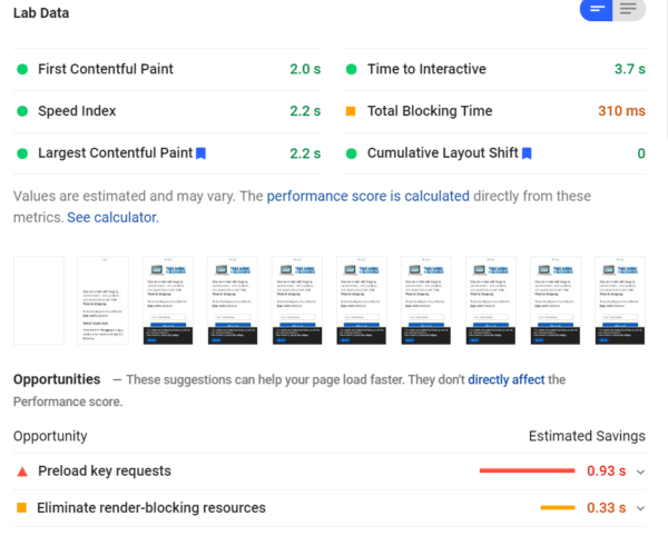 Data Breakdown on Page Speed Insights