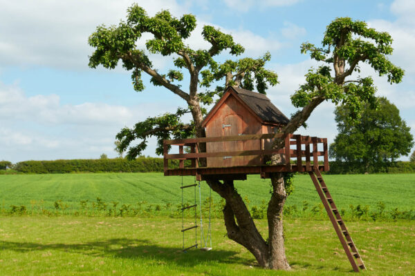 A Large Treehouse