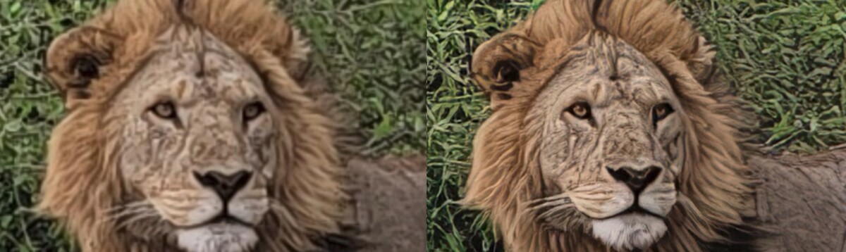 AI Upscaling a Low Res Photo of a Lion