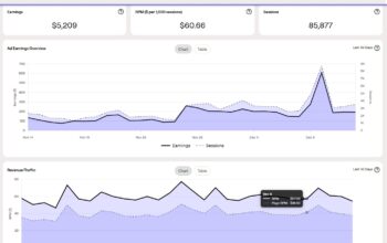 Raptive Review – Increasing Programmatic Ad Earnings